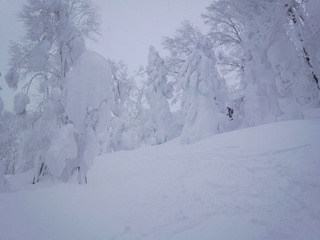 20120216mokko.jpg