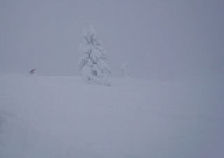 20120217douzou2.jpg