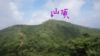 dainiti1.jpg