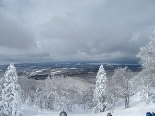雪景色